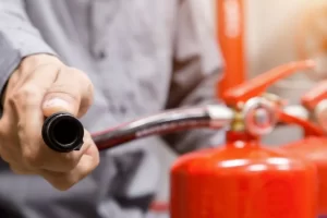 shutterstock_1901618917